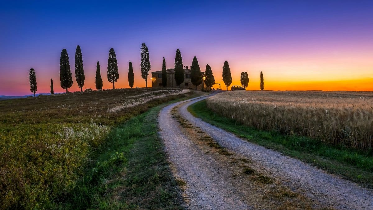Chemin de terre menant à une ferme entourée de cyprès près de Pienza, au lever du soleil