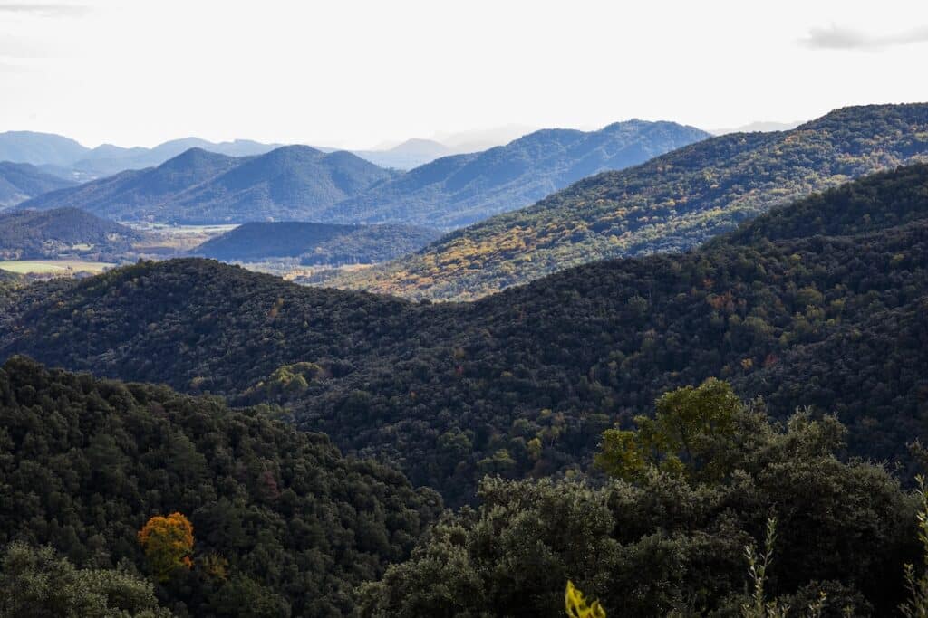 Automne à Rocabruna, La Alta Garrotxa, nord de l'Espagne.