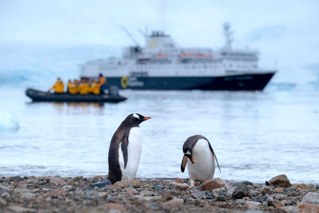 Un zodiac transporte les participants à une croisière vers une plage d'Antarctique peuplée de Manchots.