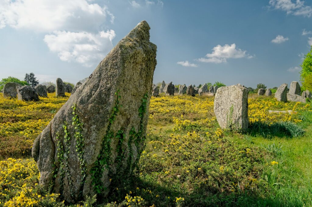 Un menhir pointu des alignements de Carnac