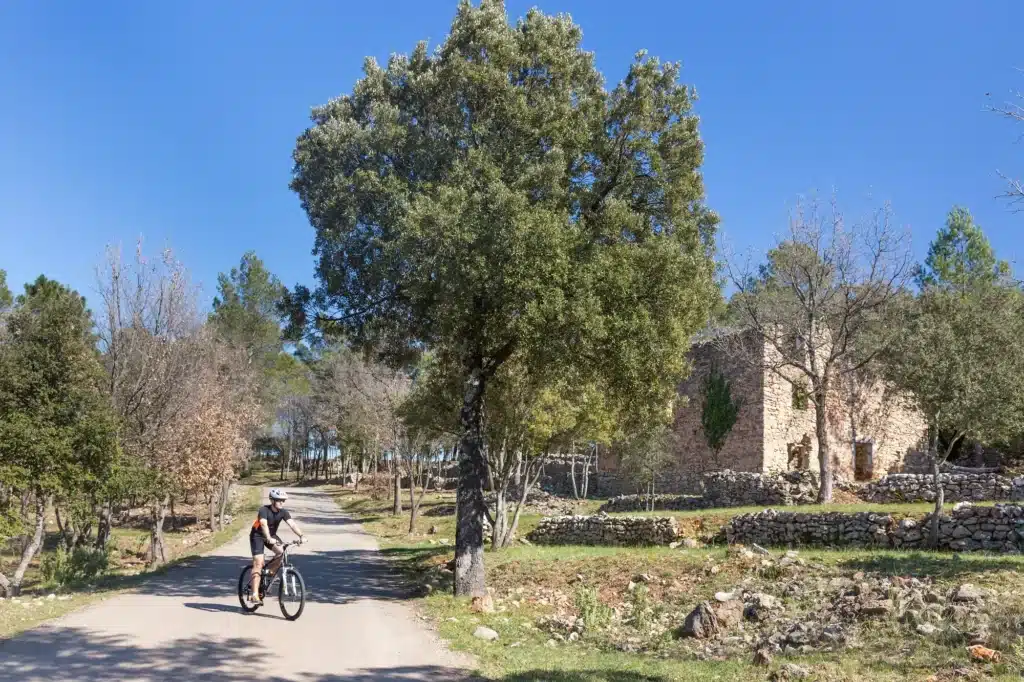 Un cycliste visite les alentours du Château Berne