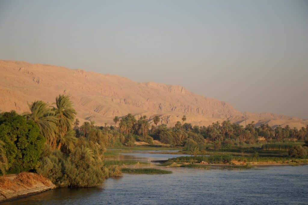 Les rives du Nil en Egypte au printemps.
