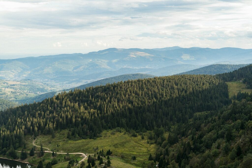 Paysage du parc naturel régionel des Vosges à proximité de la Petite Pierre