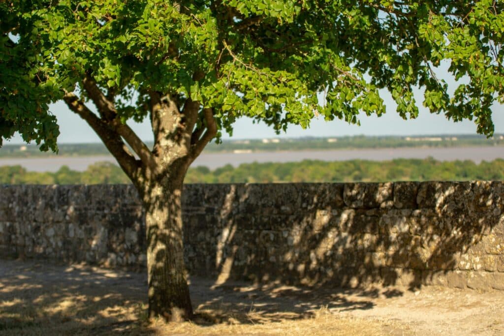 blaye.jpgRemparts de la Citadelle Vauban de Blaye avec vue sur l'estuaire de la Gironde