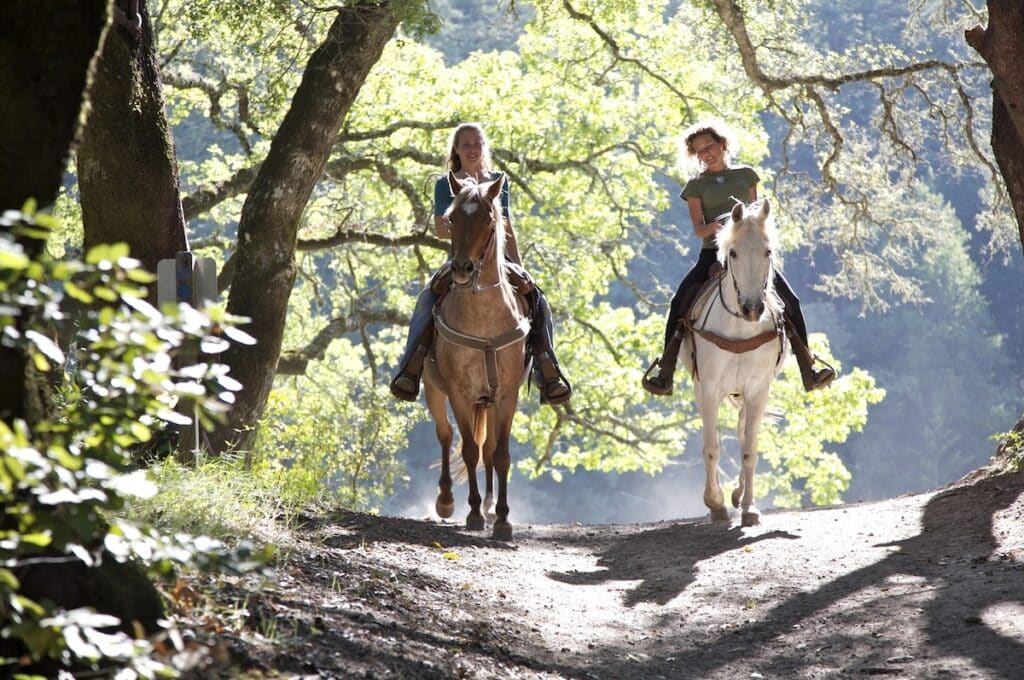 Deux cavaliers lors d'une balade à cheval en forêt.