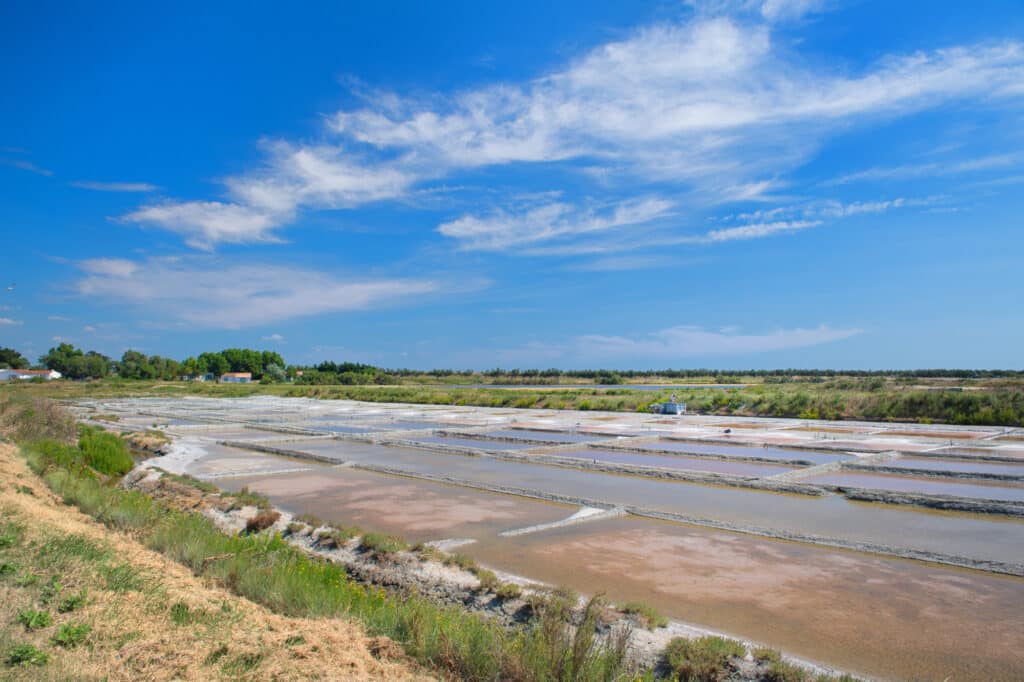 Marais salants de l'île de Ré.