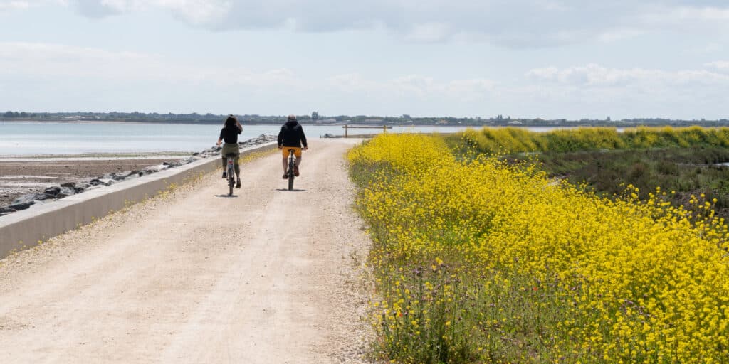 Un homme et une femme font vélo sur une piste cyclable de l'île de Ré.