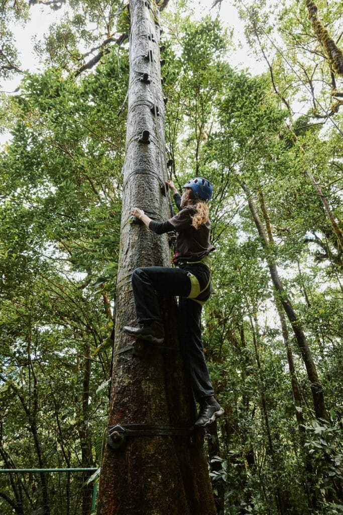 Une jeune femme grimpe sur un parcours d'accrobranche