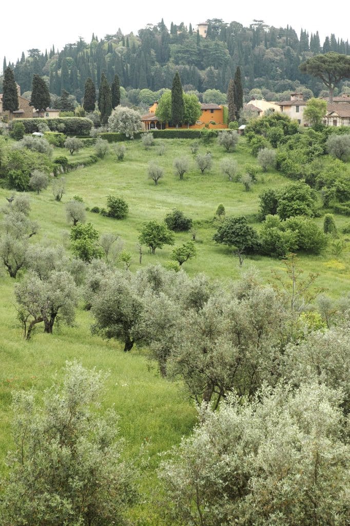 Vue sur un verger et des maisons
