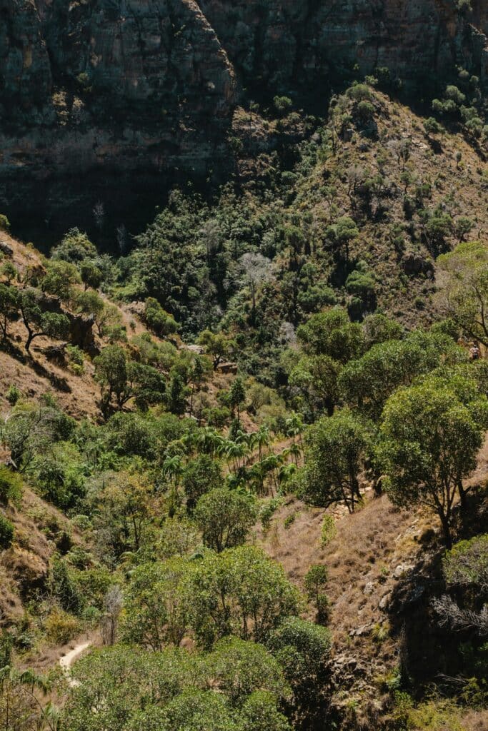 Canyon et sentier de randonnée dans le parc national de l'Isalo Madagascar