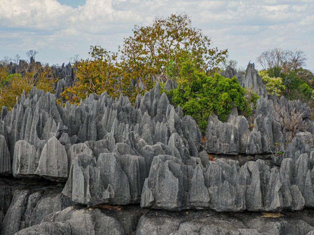 Tsingy de Bemaraha Madagascar – formations calcaires UNESCO
