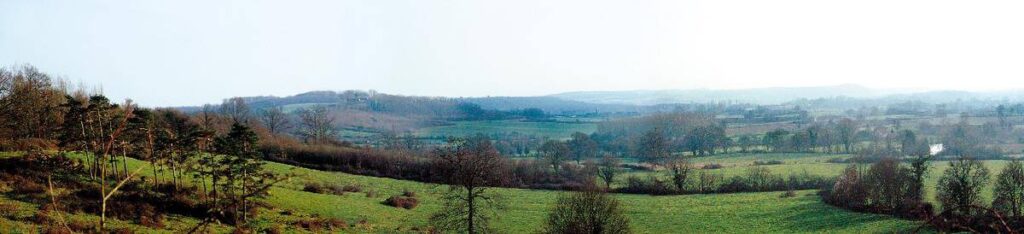 La forêt de Bellême, ainsi que les bois voisins de Dambrai et de Sublaine