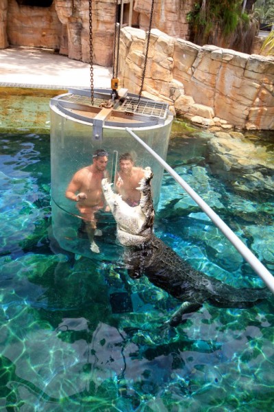 parc-croco parc à crocodiles