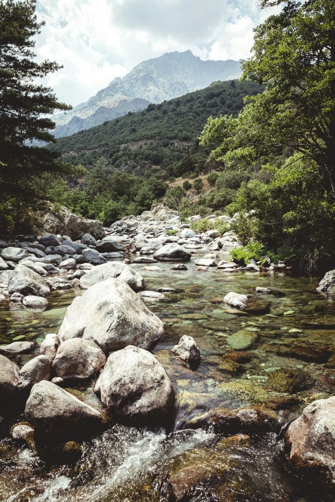 Une rivière de montagne corse au mois de mai