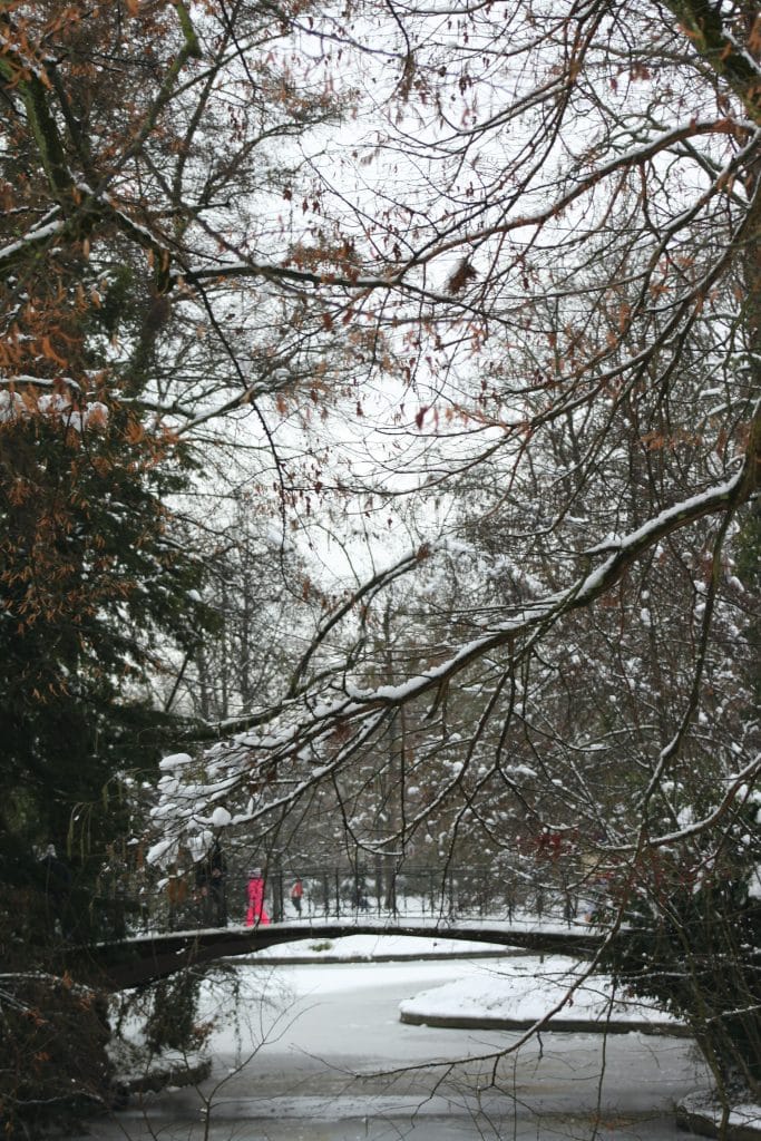 Un point du parc de l'Orangerie ) Strasbourg sous la neige hivernale.