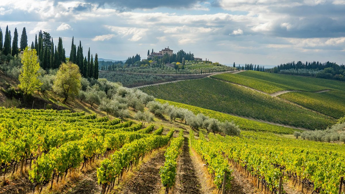 Rangs de vignes et cyprès sur les collines du Chianti près de Radda, une villa au sommet
