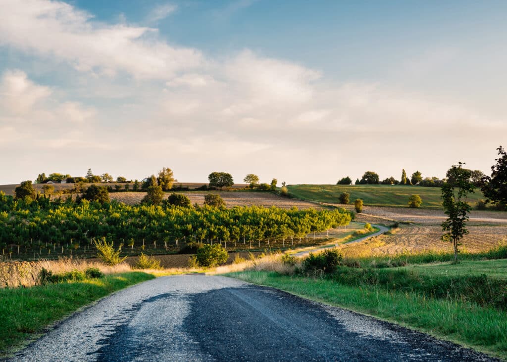 Paysage de la Ténarèze dans le Gers