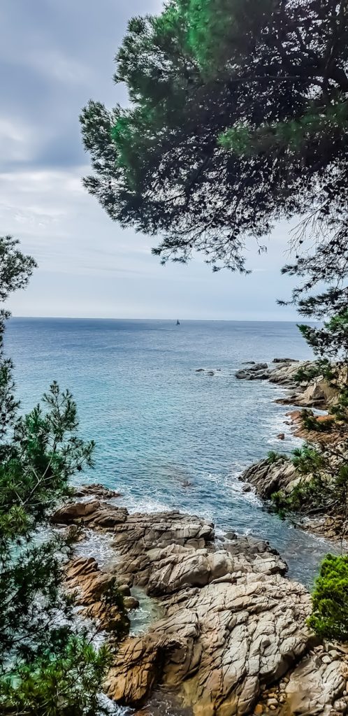 Paysage du sentier côtier historique du Camino de Ronda de S'Agaró à Platja dAro.