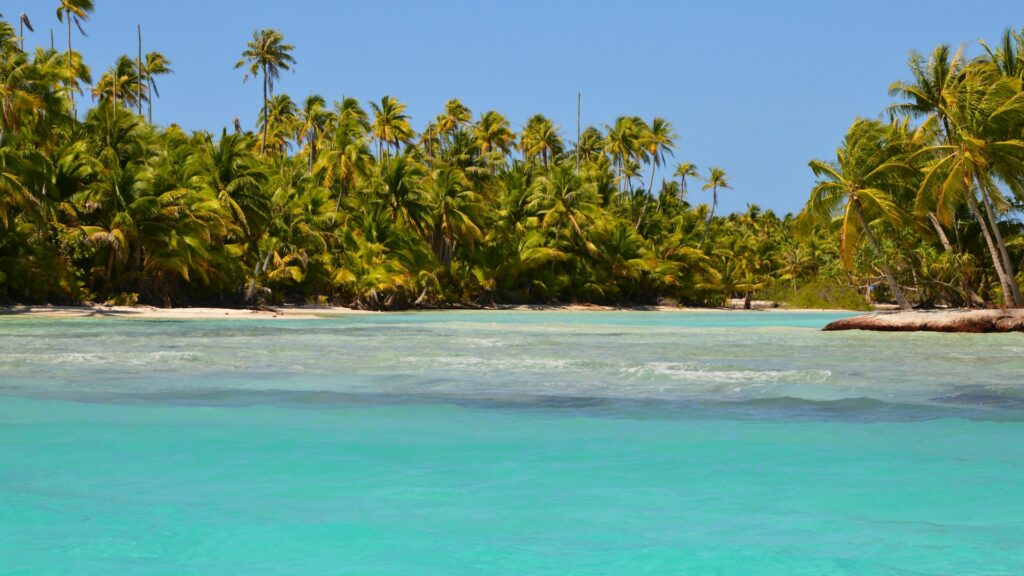 Lagon, plage et cocotiers sur l'île de Rangiroa en Polynésie Française.