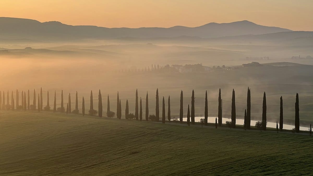 Allée de cyprès sur une colline du Val d'Orcia, au lever du soleil, dans la brume