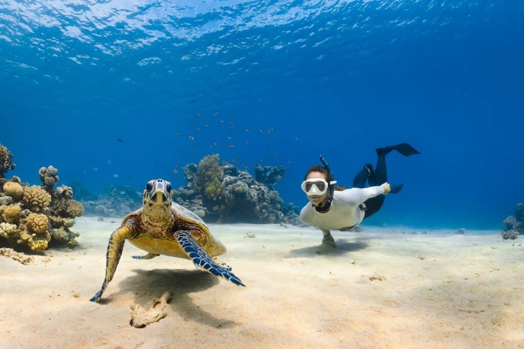Un plongeur approche une tortue lors d'une plongée snorkeling.