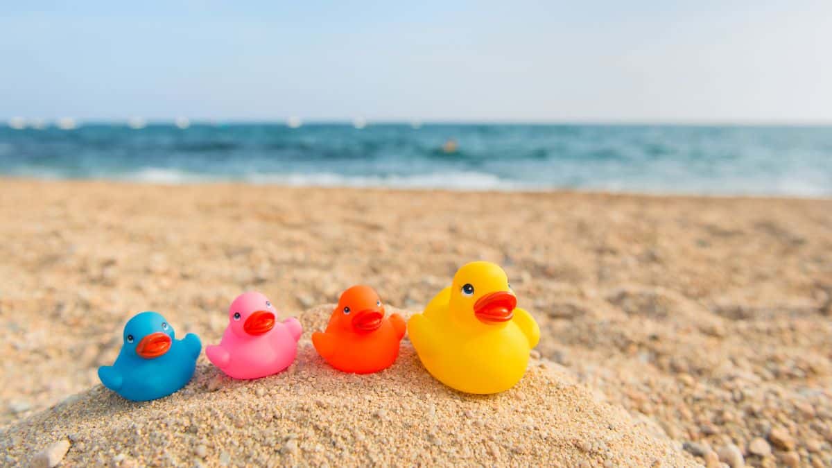 Des canards en plastique disposées sur une plage lors de vacances en famille dans les Landes