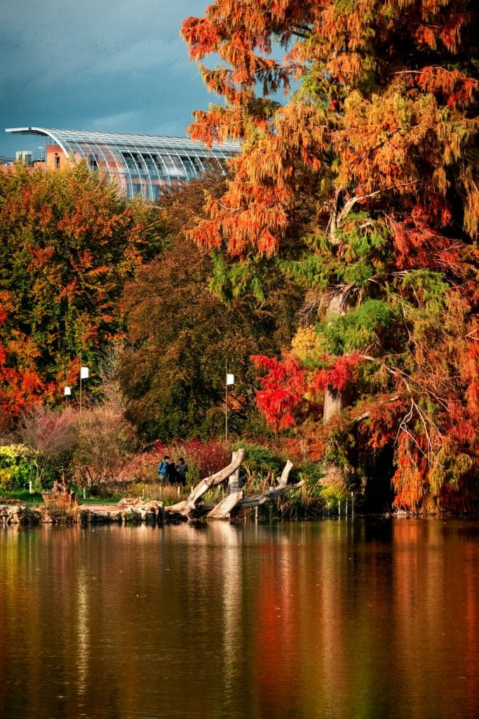 La parc de la tête d'Or avec une serree du jardin botanique de Lyon au loin.