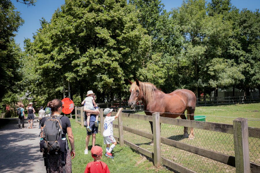 Visiteurs et un cheval de de l'Ecomusée de la Bintinais