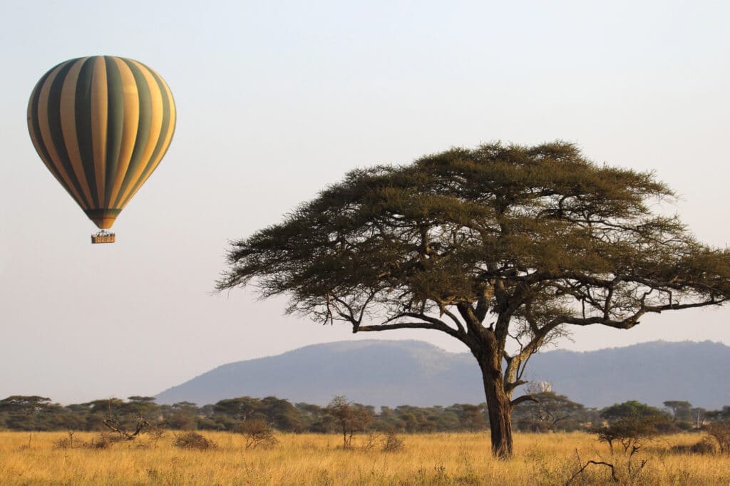 Une montgolfieère survole un acacia dans un parc national